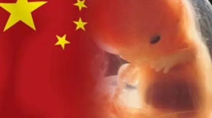 ppabortochina220812.jpg ?? 