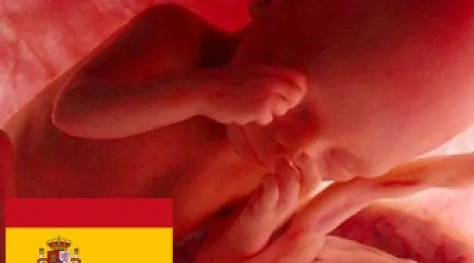 ppabortoespana200412.jpg ?? 