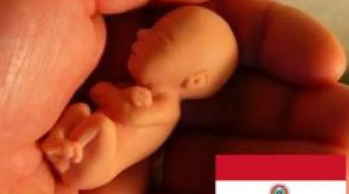 ppabortoparaguay100611.jpg ?? 