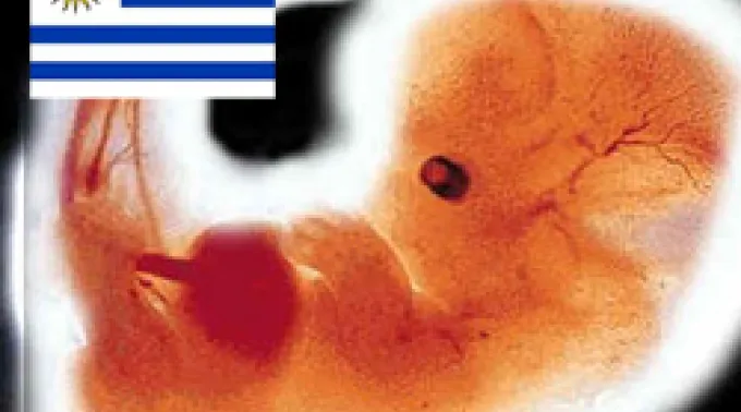 ppabortouruguay080311.jpg ?? 