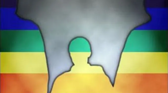 ppadopcionhomo030713.jpg ?? 