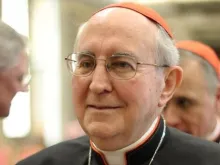 Cardeal Agostino Vallini