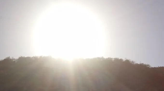 ppaparicion08012014.jpg ?? 