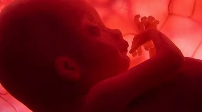 ppbebevientre03042013.jpg ?? 