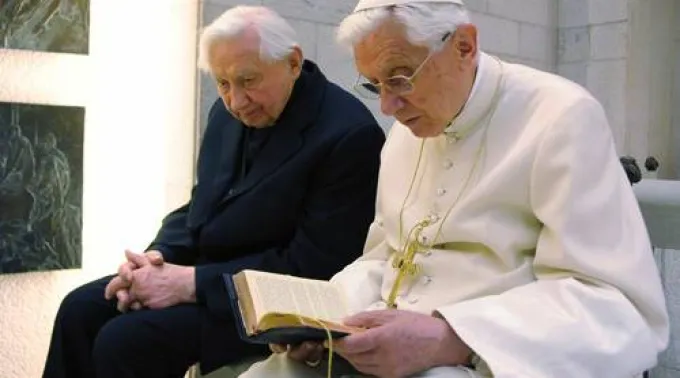 ppbxvihermano.jpg ?? 