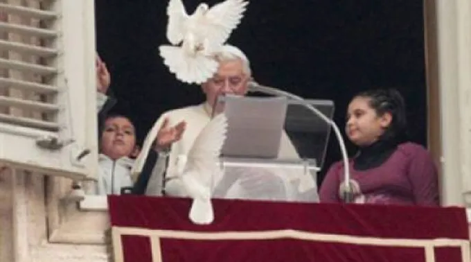 ppbxvipaloma141212.jpg ?? 