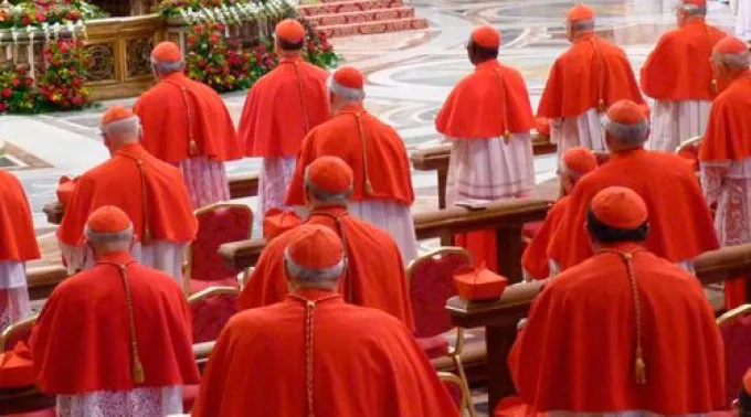 ppcardenales130114.jpg ?? 