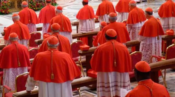 ppcardenales190214.jpg ?? 