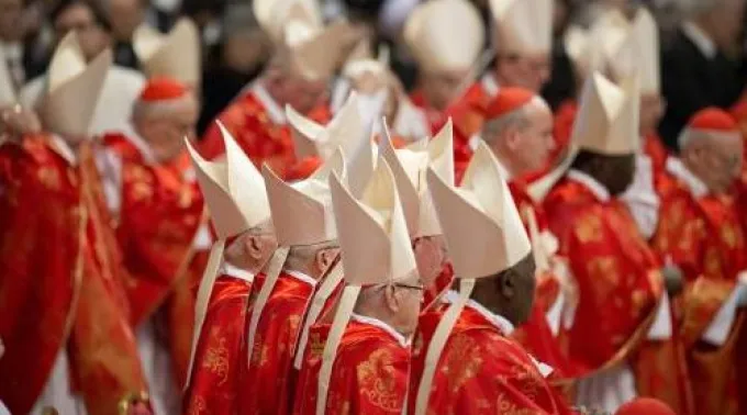 ppcardenales210214.jpg ?? 