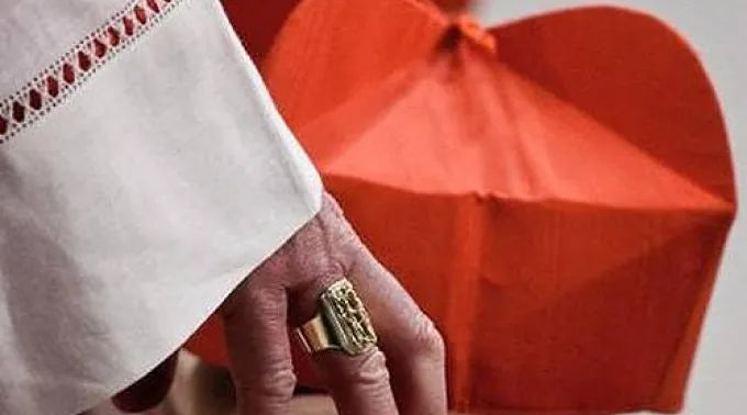 ppcardenales231112.jpg ?? 