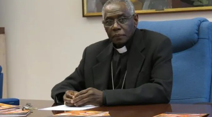 ppcardenalsarahCNA01122013.jpg ?? 