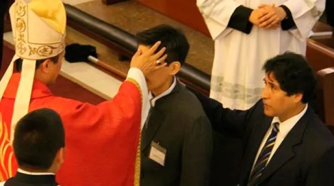 ppconfirmacion290114.jpg ?? 