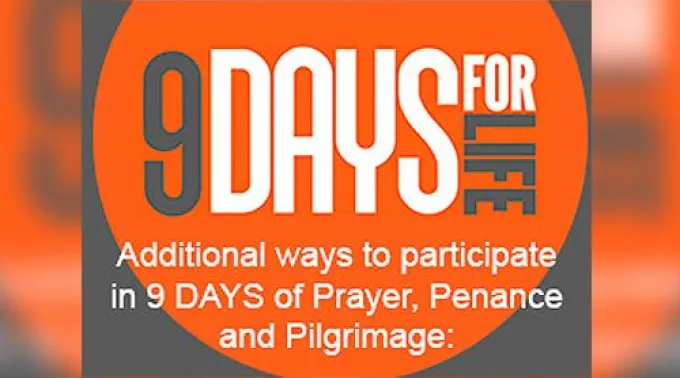 ppdiasporlavida130114.jpg ?? 