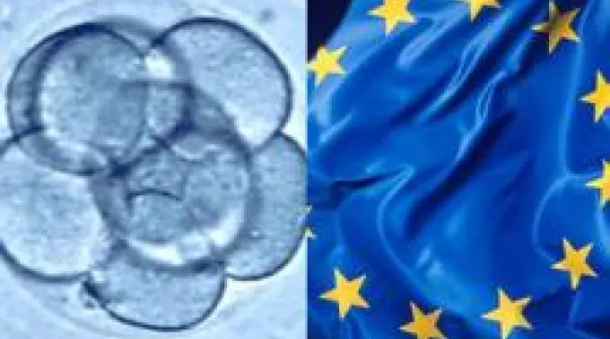 ppembrioneseuropa201011.jpg ?? 