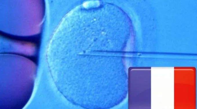 ppembrionfrancia31032013.jpg ?? 