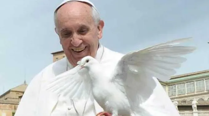 ppfrancisco170513C.jpg ?? 