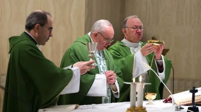 ppfranciscoA27052013.jpg ?? 