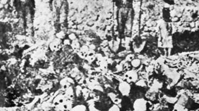 ppgenocidio250112.jpg ?? 