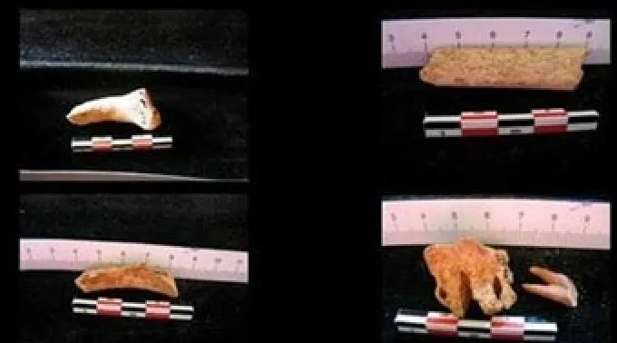 pphuesos250612.jpg ?? 