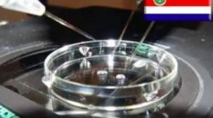 ppinvitrocrica150611.jpg ?? 