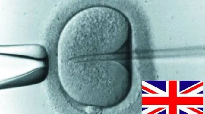 ppinvitroreinounido040113.jpg ?? 