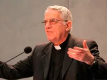 Pe. Federico Lombardi.
