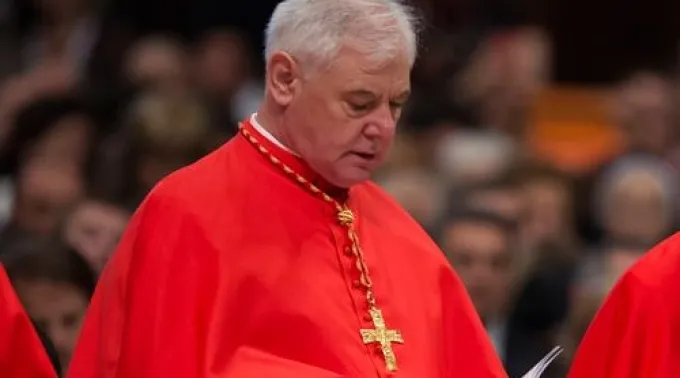 ppmuller250214.jpg ?? 