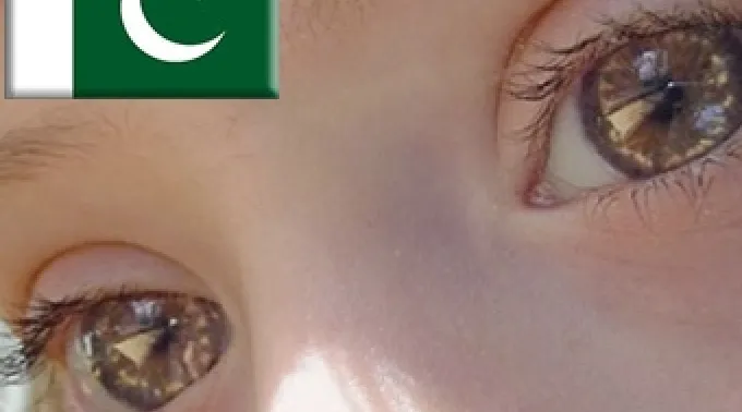 ppninadownpakistan230812.jpg ?? 