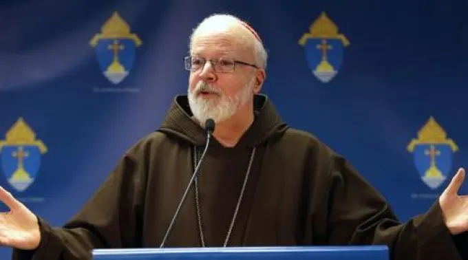 ppseanomalley160513.jpg ?? 