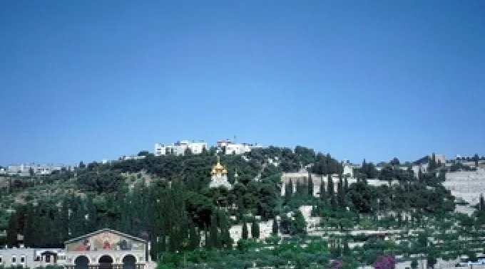 pptierrasanta120612.jpg ?? 