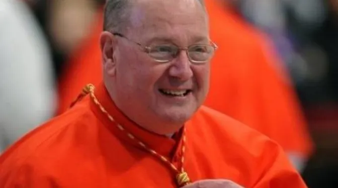 pptimothydolan280812.jpg ?? 