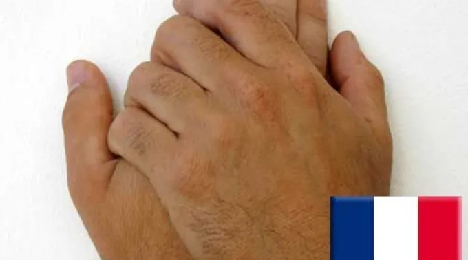 ppunihomofrancia300113.jpg ?? 