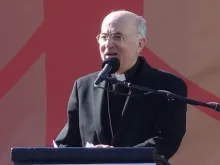 Dom Carlo Viganó, Núncio Apostólico nos Estados Unidos