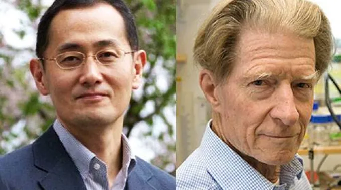 yamanaka_gourdon.jpg ?? 